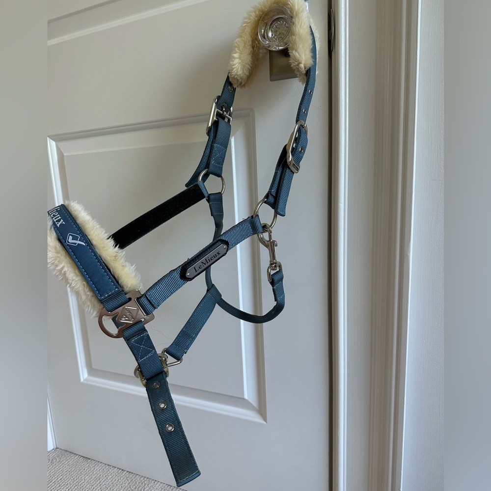 Blue Nylon LeMieux Fluffy Halter — Removable Velcro